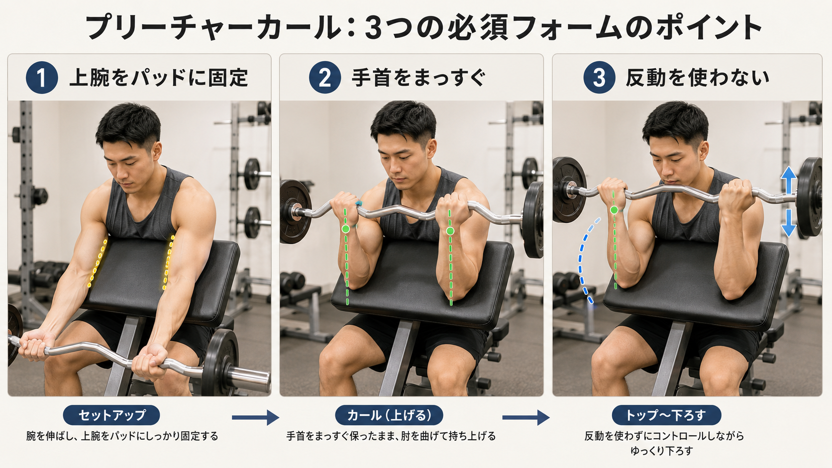 プリーチャーカールの上腕固定・手首・反動を解説するフォーム図