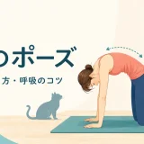 ヨガの猫のポーズとは？効果・やり方・呼吸のコツを初心者向けに解説