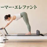 リフォーマー・エレファント