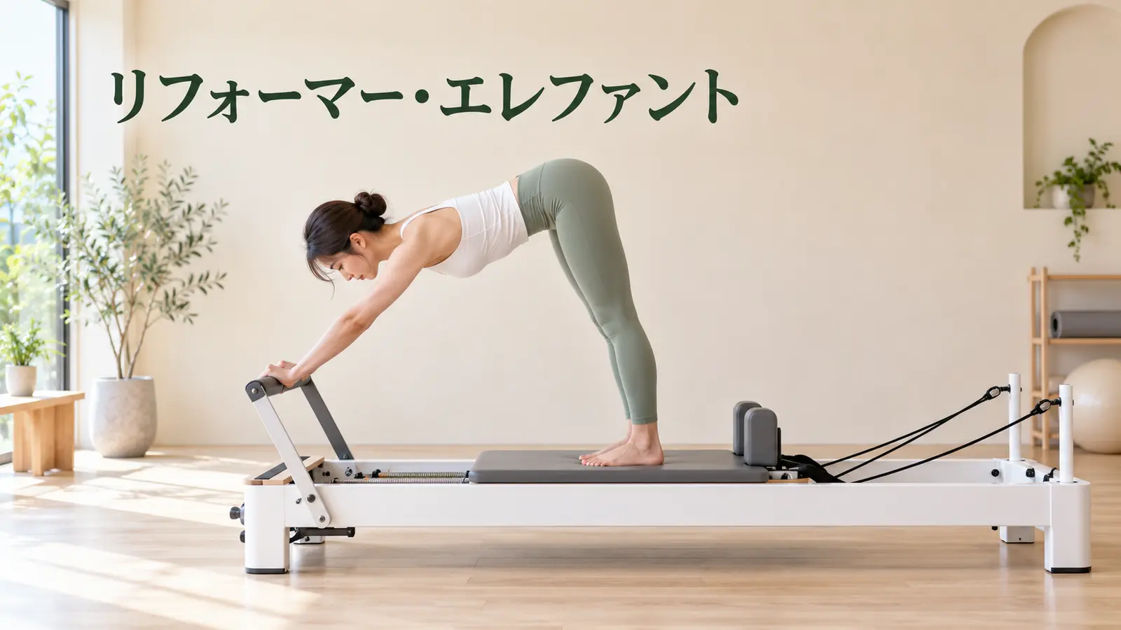 リフォーマー・エレファント
