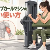 biceps curl machineのフォームを示すイラスト