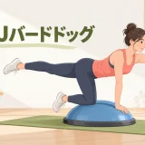 BOSUバードドッグの安全なやり方を示すイラスト