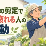 庭木を剪定する中高年向け運動のアイキャッチ