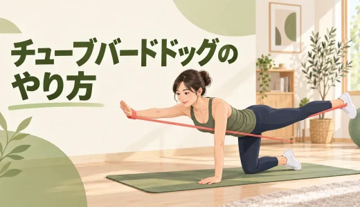 チューブバードドッグのやり方｜腰を反らさず体幹を安定させる
