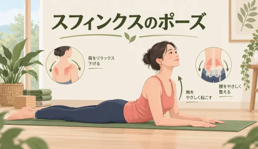 スフィンクスのポーズとは？効果・やり方・腰を痛めない調整