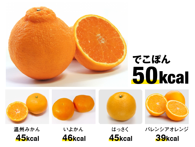 デコポンと柑橘系のカロリー比較